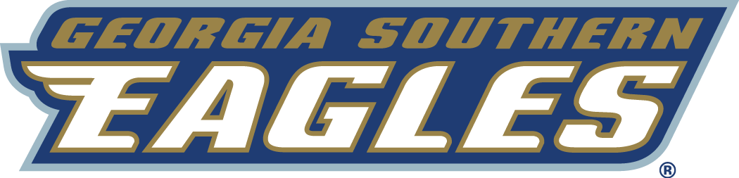 Georgia Southern Eagles 2004-Pres Wordmark Logo v2 iron on transfers for fabric